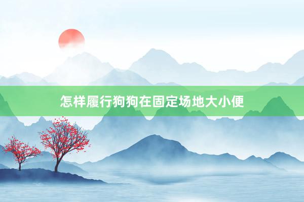 怎样履行狗狗在固定场地大小便