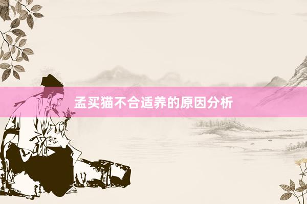 孟买猫不合适养的原因分析